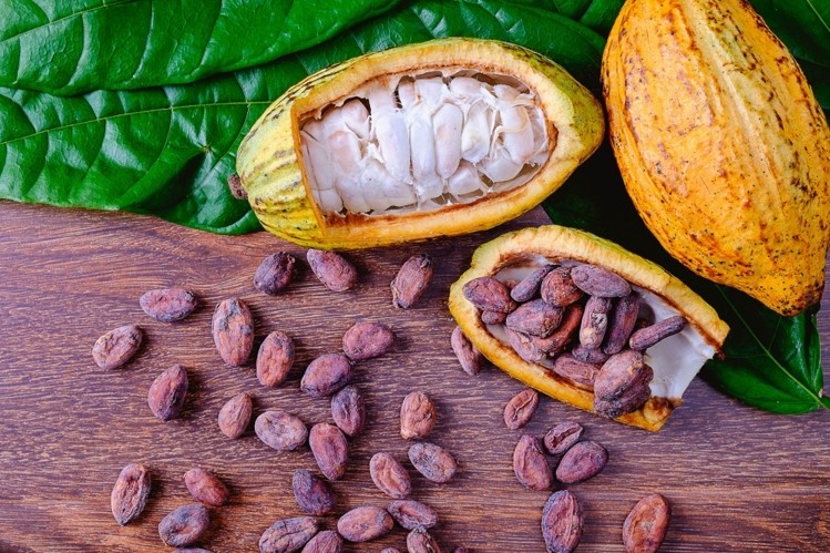 China exporting cocoa not a cause for alarm – Former Ghana Ambassador to China