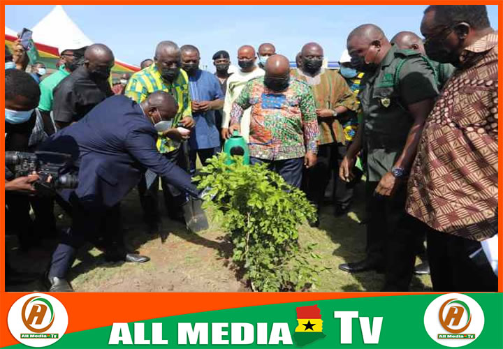 ‘Green Ghana Day Not A One-Off Event; Let’s Nurture Trees To Maturity’ – President Akufo-Addo