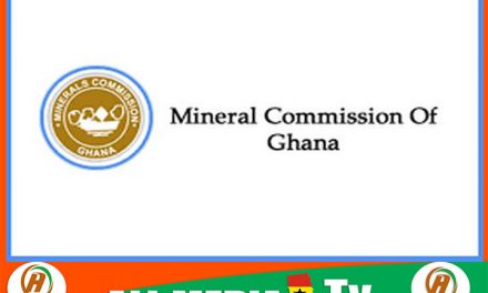 Takoradi Gold Ghana Limited sues Minerals Commission over ‘unlawful assignment’