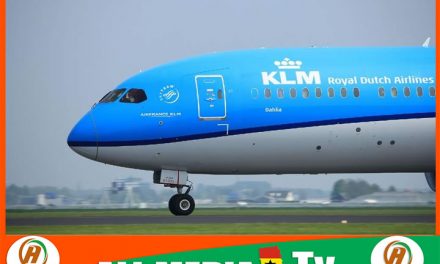 Bird strike aborts KLM flight at Kotoka