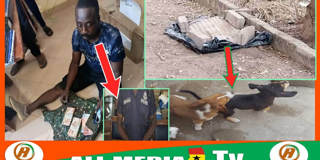 video:woman killed by debtors 4 dogs when she was going for her money at Abenase ejisu.