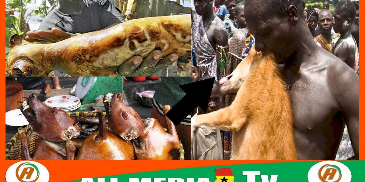 Chief of Assin Atwareboanda arrested over Dog meat