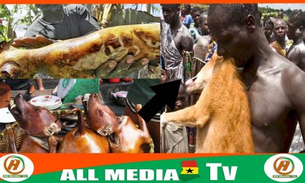 Chief of Assin Atwareboanda arrested over Dog meat