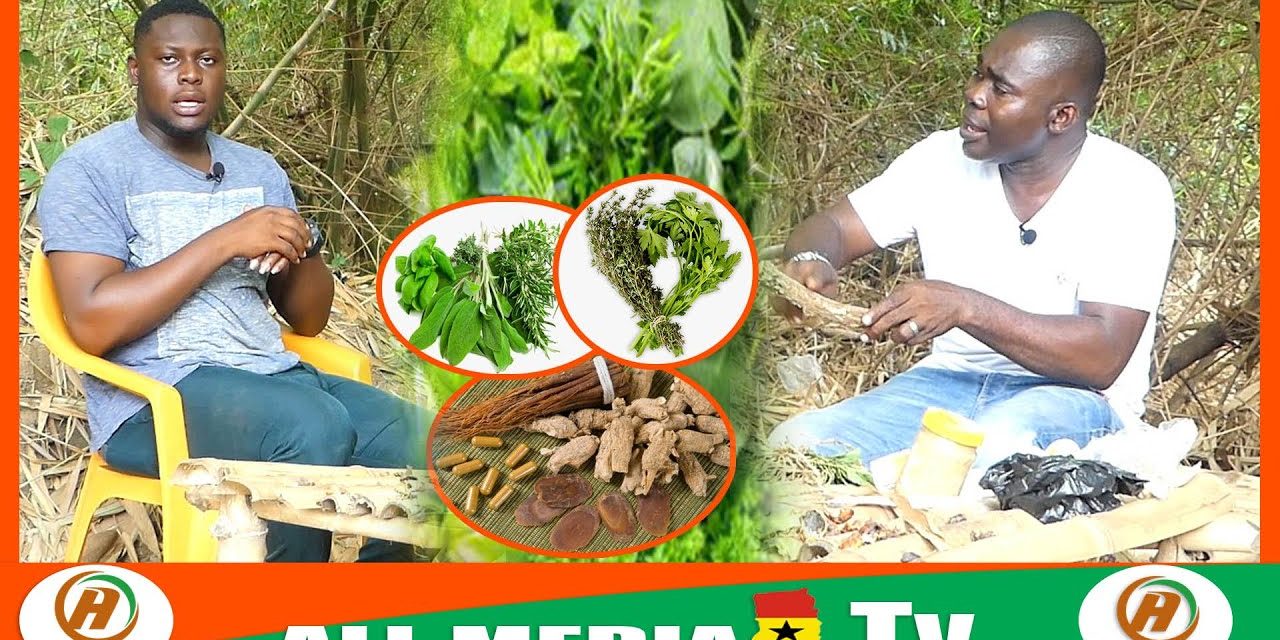 How to used traditional herbs to cure Hepatitis B – Dr Mahazy Reveals