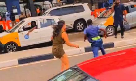 Foreigner who chased, assaulted car park attendant at airport arrested