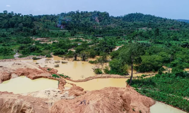 In the Galamsey combat, Dominic Ayine supports the shoot-to-kill strategy